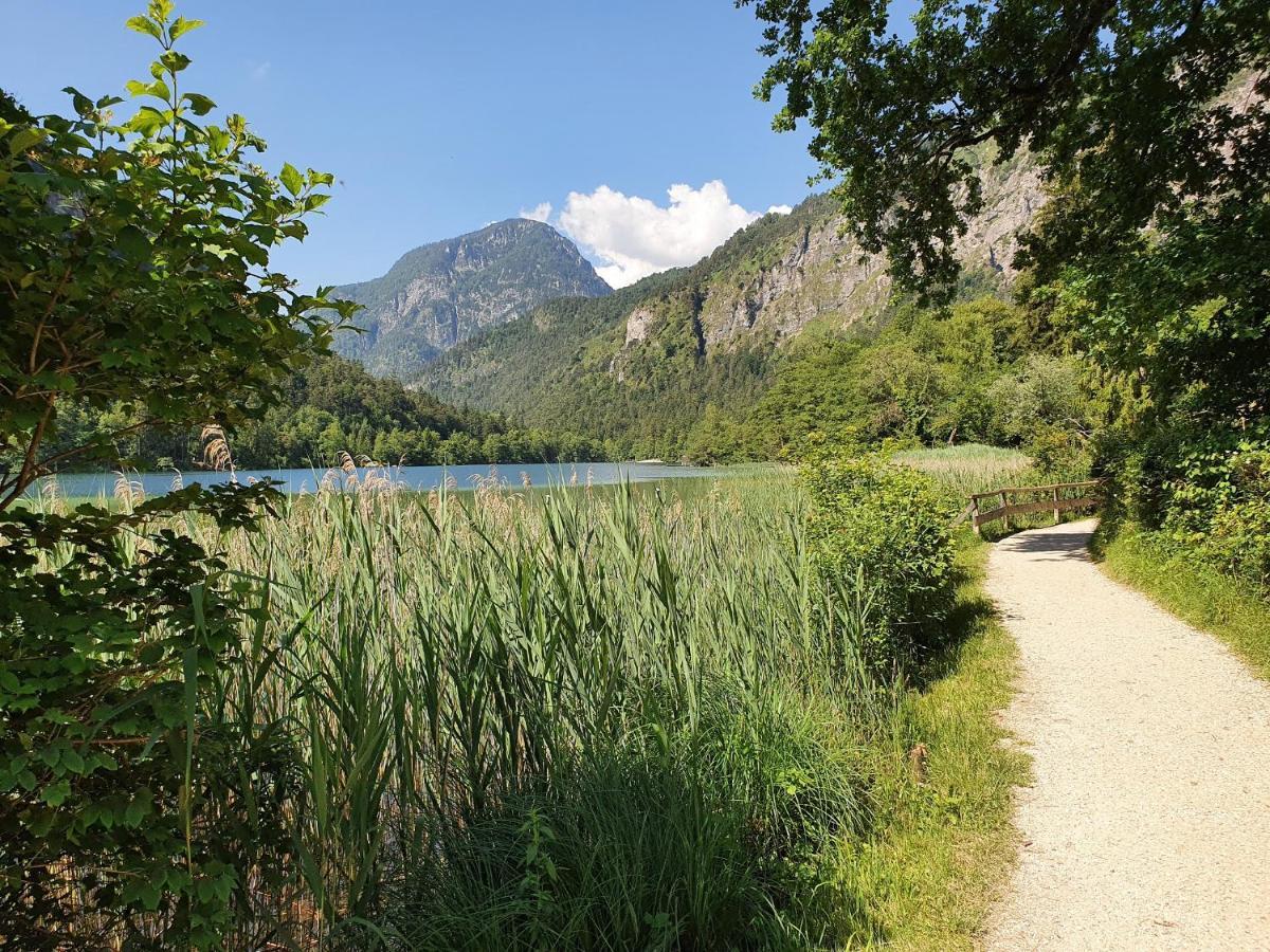 Ferienwohnung Fresdorf Bad Reichenhall Ngoại thất bức ảnh